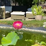 Bed & Breakfast Vie En Rose 3*