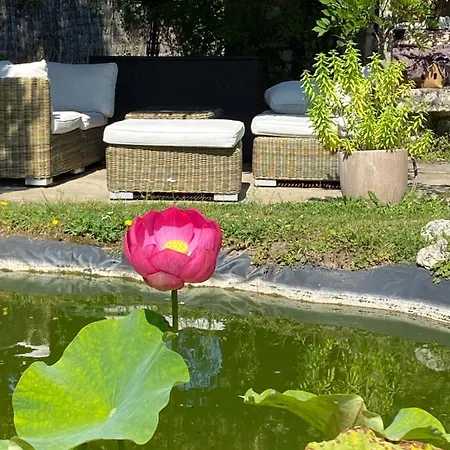 Nocleg ze śniadaniem Vie En Rose 3*