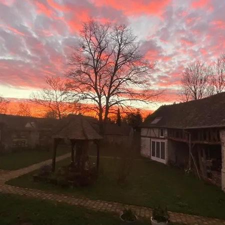 Vie En Rose